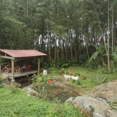 Finca Exclusividad Familiar O Grupo De Amigos Capacidad Hasta 12 Personas Calles En Placa Huella, Caminata Ecologica Alban  Exterior foto