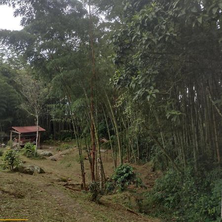 Finca Exclusividad Familiar O Grupo De Amigos Capacidad Hasta 12 Personas Calles En Placa Huella, Caminata Ecologica Alban  Exterior foto