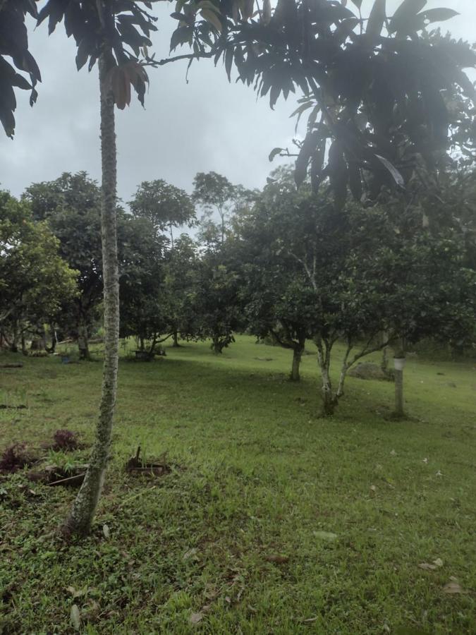 Finca Exclusividad Familiar O Grupo De Amigos Capacidad Hasta 12 Personas Calles En Placa Huella, Caminata Ecologica Alban  Exterior foto