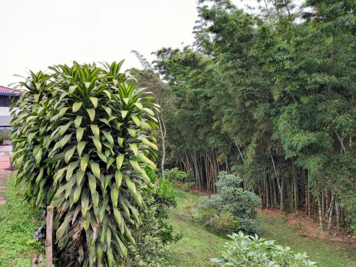 Finca Exclusividad Familiar O Grupo De Amigos Capacidad Hasta 12 Personas Calles En Placa Huella, Caminata Ecologica Alban  Exterior foto