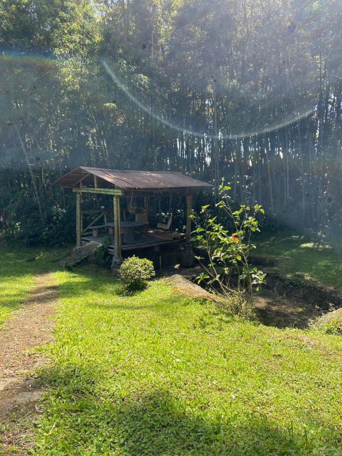 Finca Exclusividad Familiar O Grupo De Amigos Capacidad Hasta 12 Personas Calles En Placa Huella, Caminata Ecologica Alban  Exterior foto